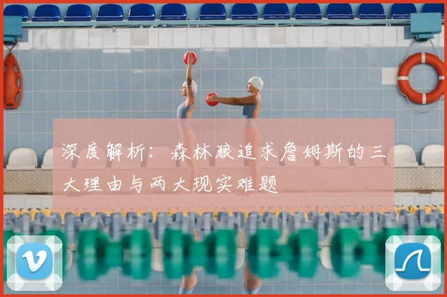 深度解析：森林狼追求詹姆斯的三大理由与两大现实难题